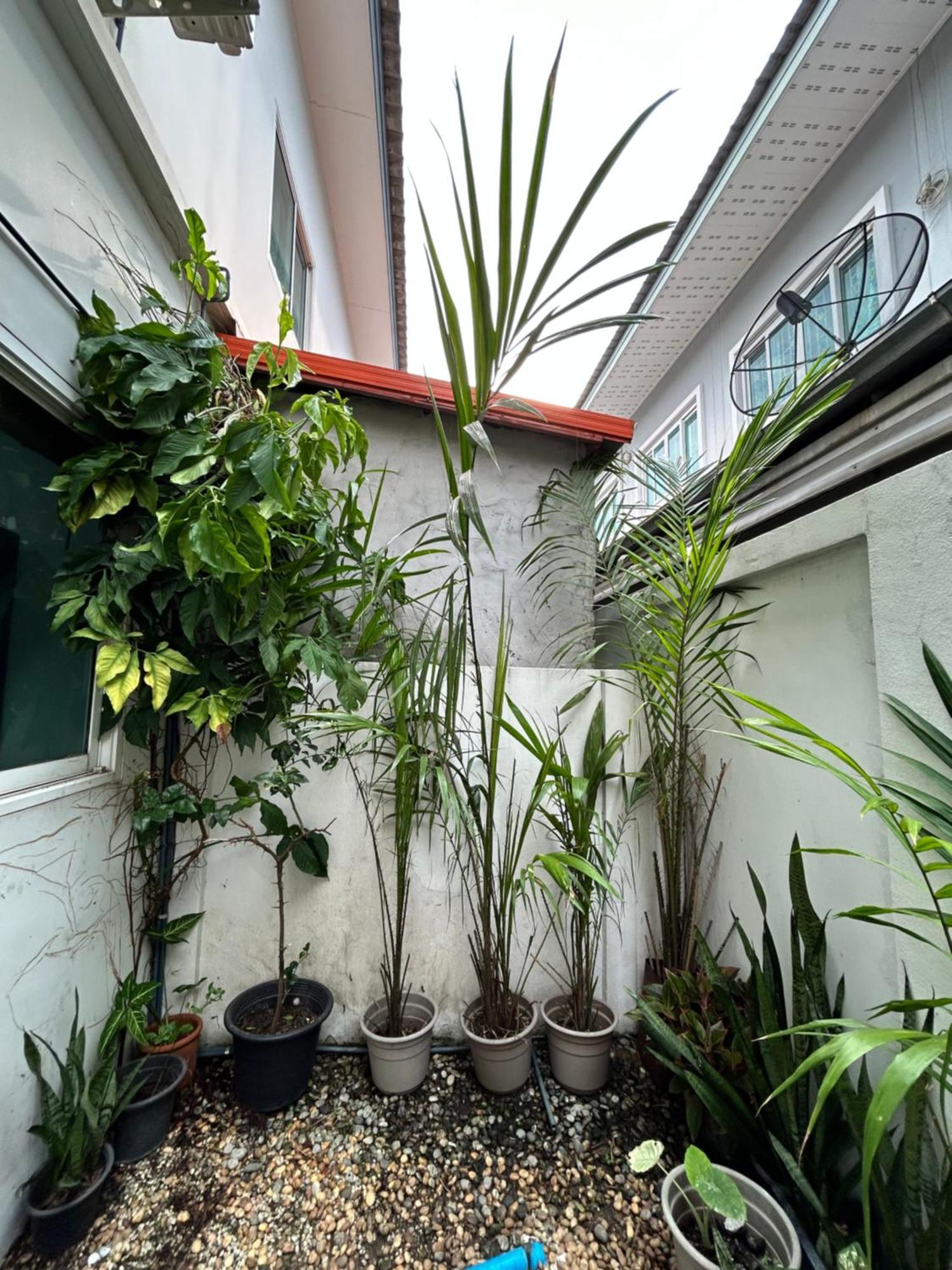 ไนซ์สเตย์ เฮาส์ แอทคลองสาม รังสิต คลองหลวง ปทุมธานี Nice Stay House At Khlong Sam - Rangsit - Khlong Luang - Phathumthani Kültér fotó